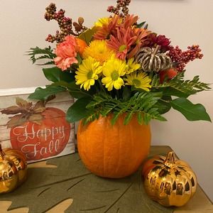 Meet your Posher, Phyllis